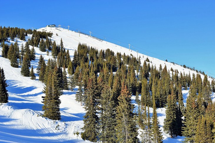 Marmot Basin