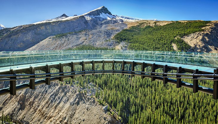 The Skywalk near the Columbia Icefield