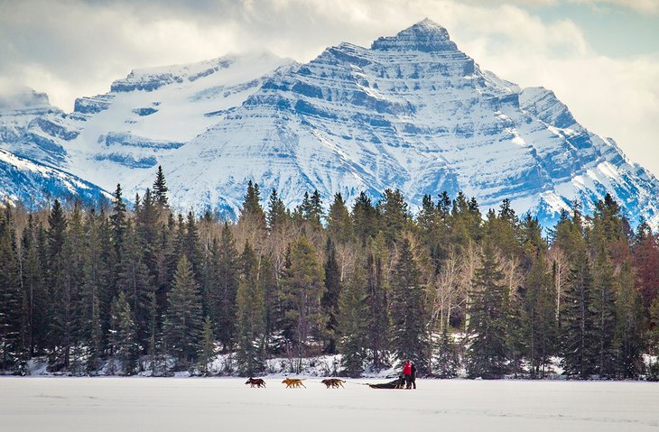 11 cosas mejor valoradas para hacer en Jasper, Alberta