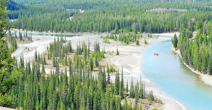 A raft on the Athabasca River in Jasper National Park