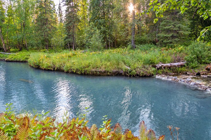 Liard River Hot Springs