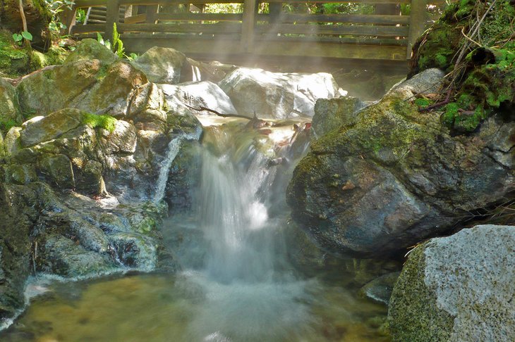 Small pool at Hot Springs Cove