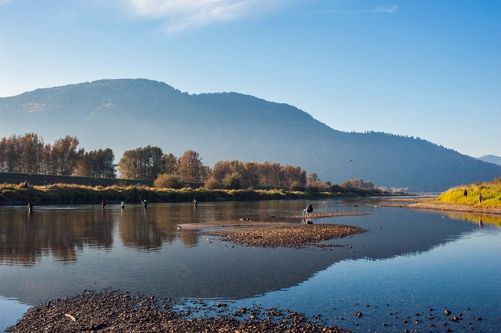 Fisherman in the Vedder River