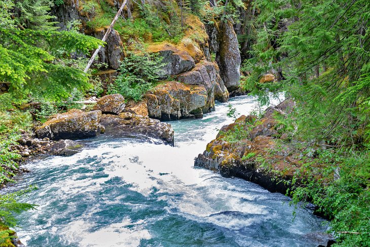 Cheakamus River near Cal-Cheak Recreation Site