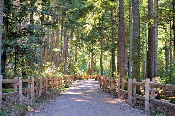 Path through the Stawamus Chief Provincial Park Campground