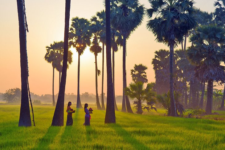 Women walking through rice fields in Ubud, Bali