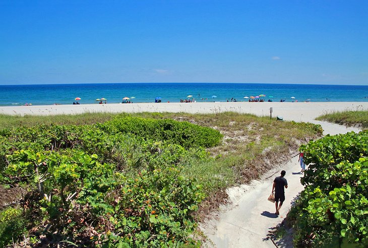 11 Things To Do in Boca Raton, FL