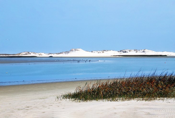 Beach and sand dunes at Huguenot Memorial Park