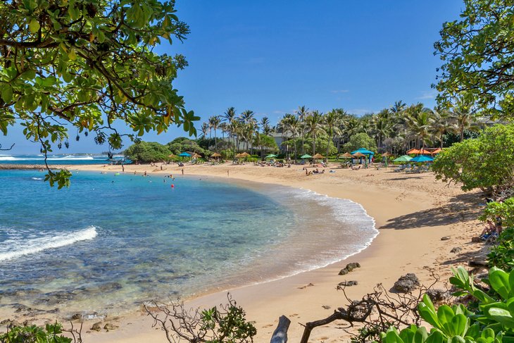 Turtle Bay beach