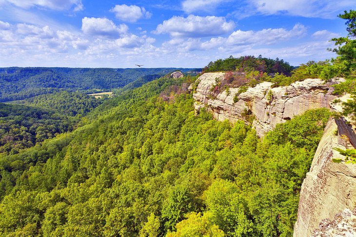 Red River Gorge