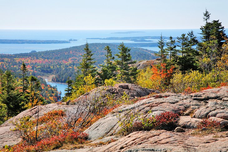 View from Cadillac Mountain in the fall