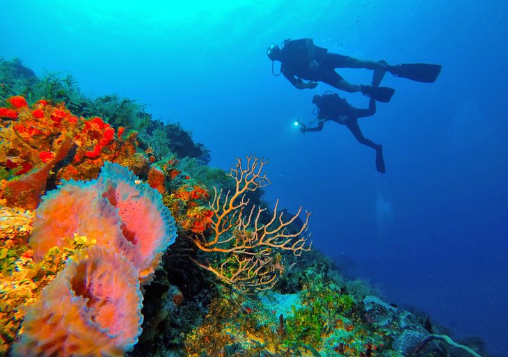 Scuba diving off Playa del Carmen