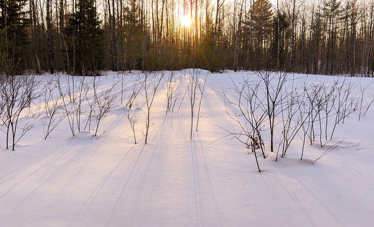 Winter in the Northwoods of Wisconsin