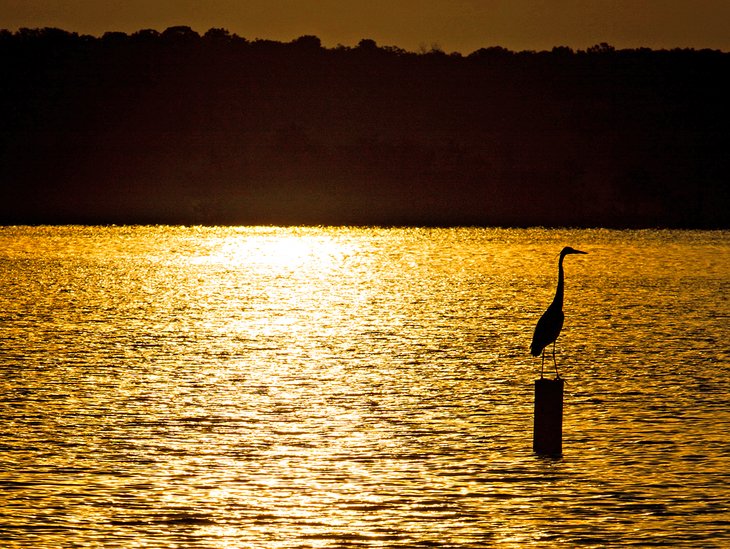 Pomme de Terre Lake