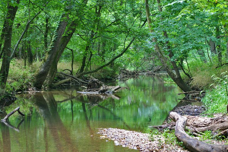 Springfield Conservation Nature Center