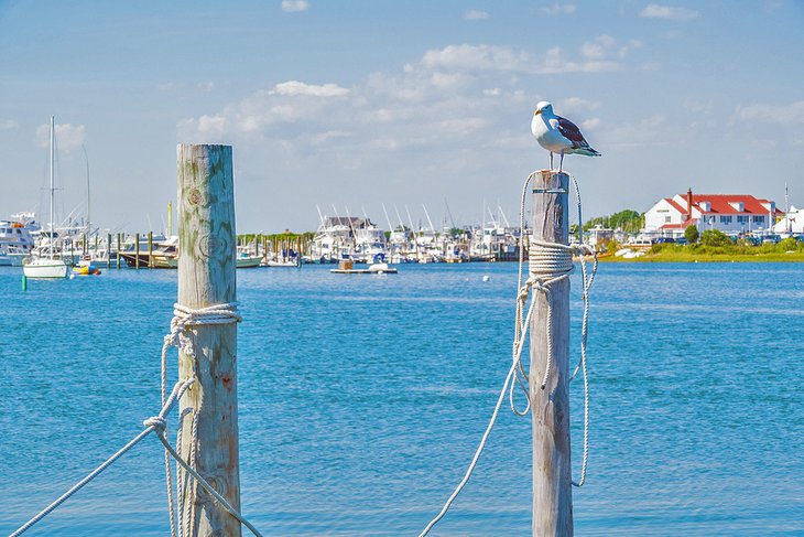 Lake Montauk