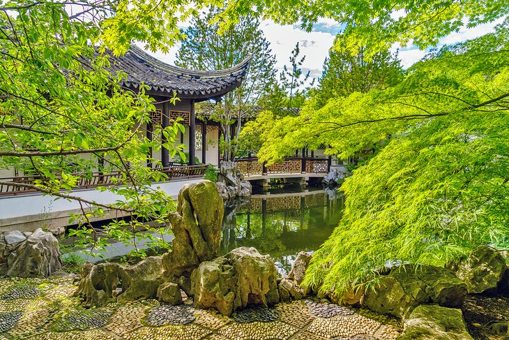 Chinese Scholar's Garden