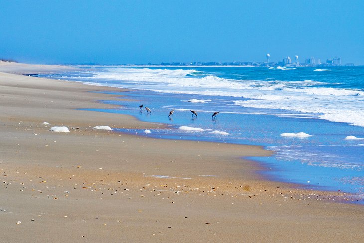 Masonboro Island beach