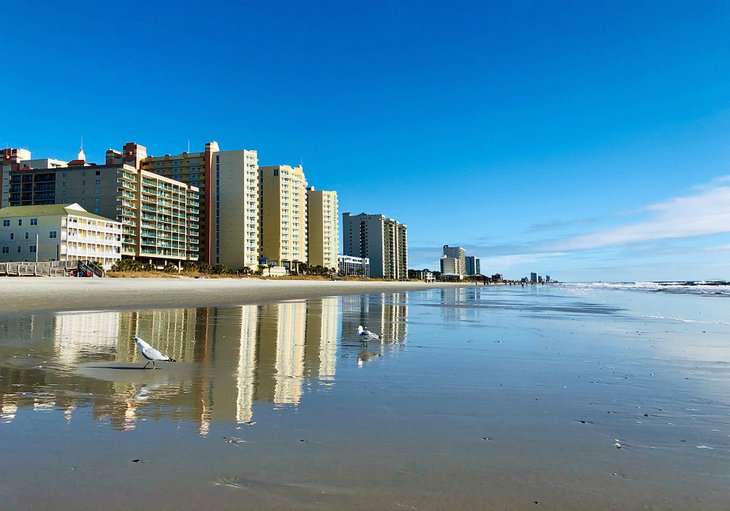 10 playas mejor valoradas cerca de Wilmington, NC