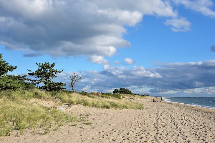 Hammonasset State Park