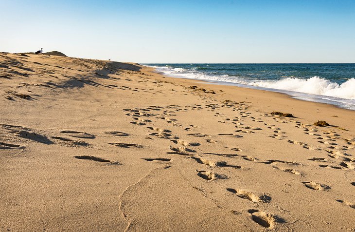 Head of the Meadow Beach, Massachusetts