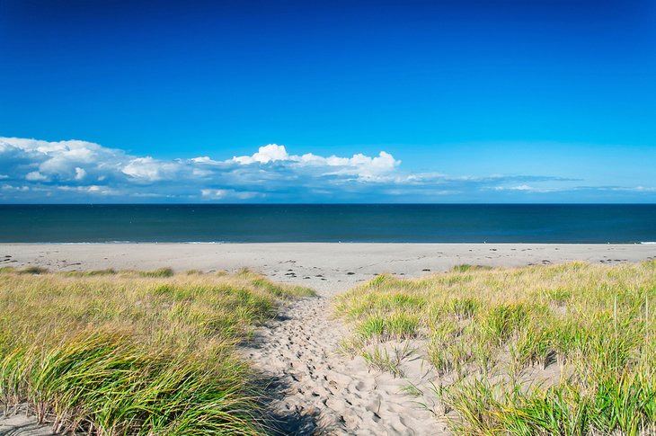 Race Point Beach