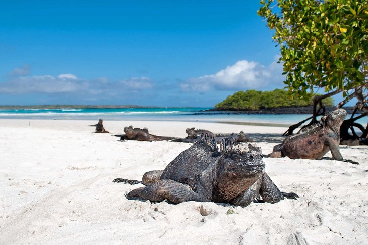 14 mejores playas de América del Sur