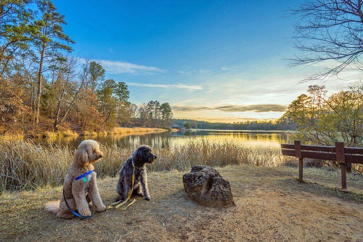 Tyler State Park