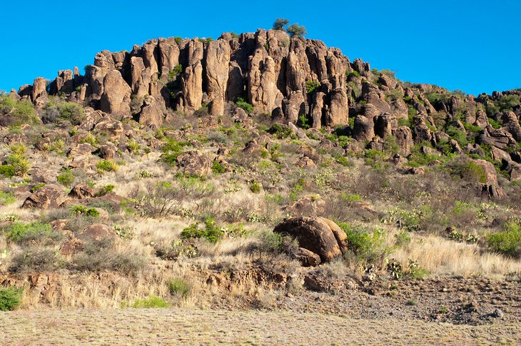 Davis Mountains State Park