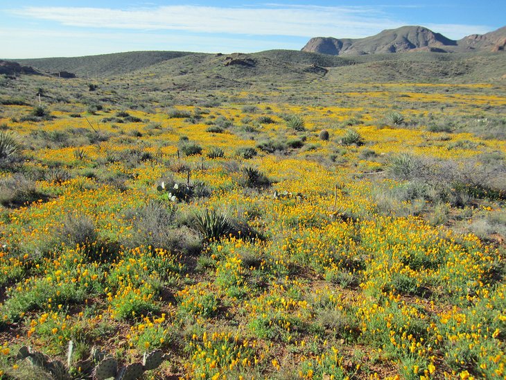 Franklin Mountains State Park