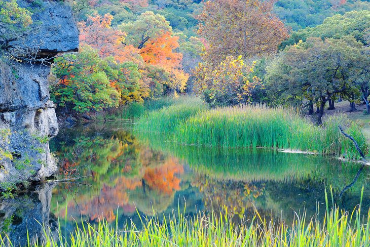 Pond at Lost Maples State Natural Area