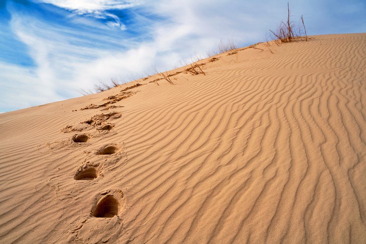 Monahans Sandhills State Park