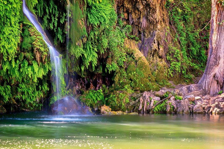 Krause Springs waterfall