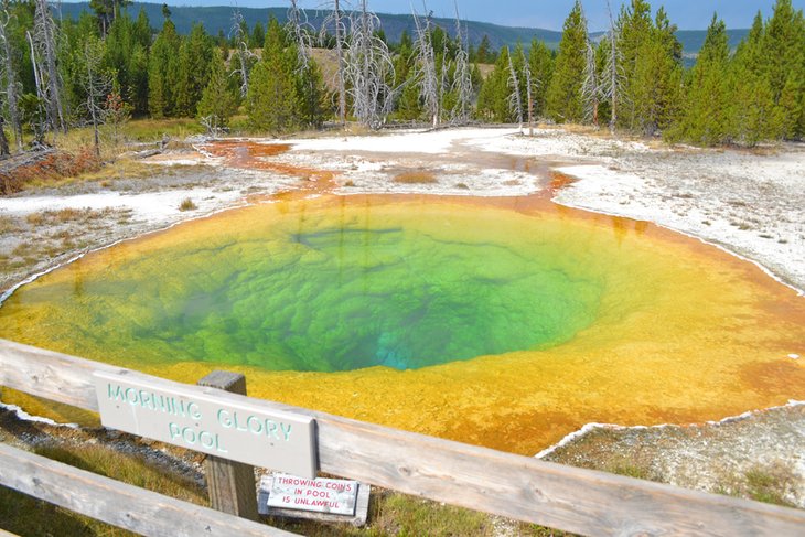 Morning Glory Pool, Upper Geyser Basin Boardwalk