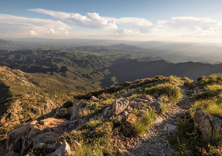 View from near the summit of Mount Wrightson