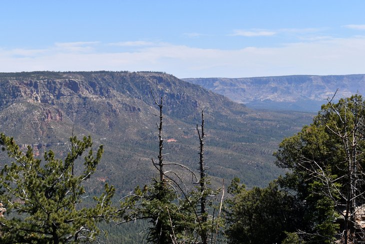 11 campamentos mejor calificados cerca de Payson, Arizona