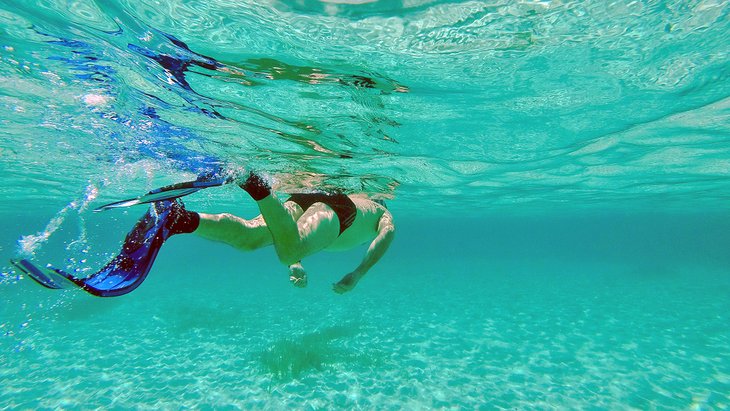 Snorkeling in Nassau