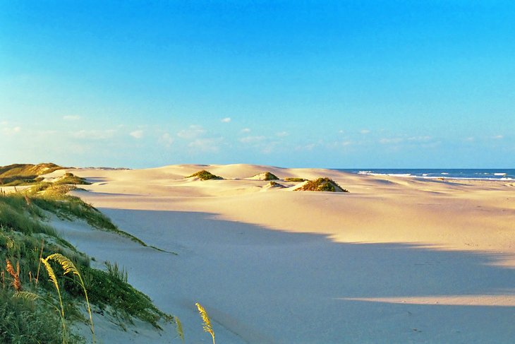 Pristine sand dunes on South Padre Island, Texas