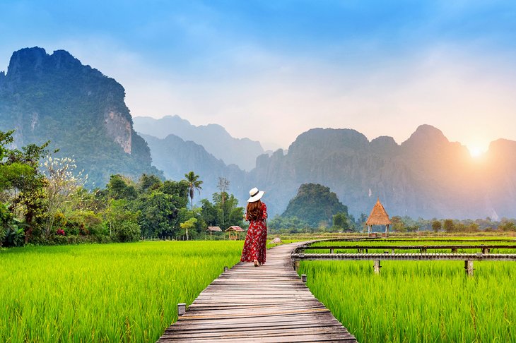 Rice field in Vang Vieng, Laos