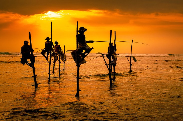 Silhouettes de pêcheurs traditionnels au coucher du soleil au Sri Lanka