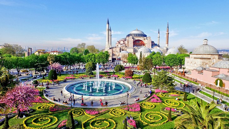 Spring flowers and the Blue Mosque in Istanbul