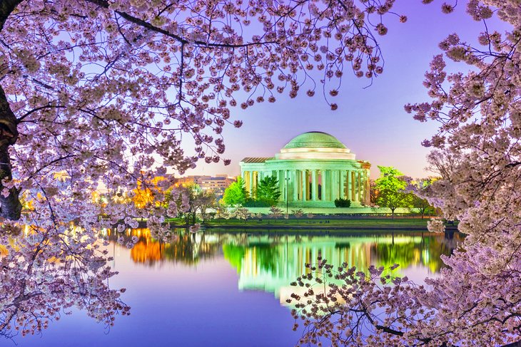 Tidal Basin and Jefferson Memorial with spring cherry blossoms