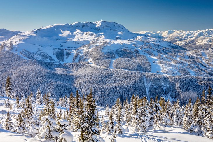 View of Whistler ski area from Blackcomb Mountain