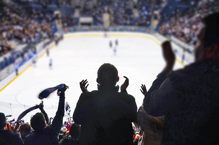 Fans enjoying a hockey game