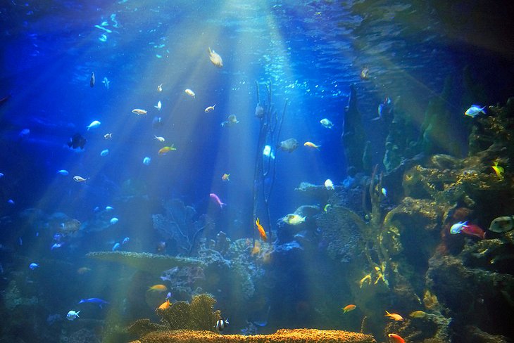 Vancouver Aquarium