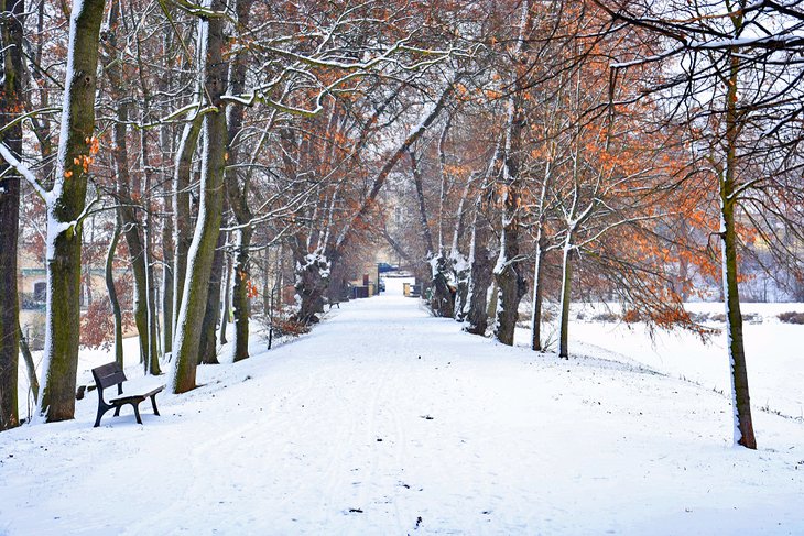 A snowy park in Prague