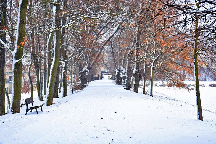 11 cosas mejor valoradas para hacer en Praga en invierno