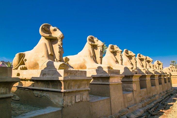Row of ancient sculptures of criosphinx in Karnak Temple, Luxor