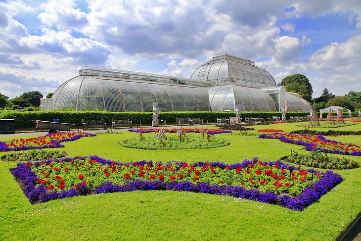 Spring flowers at Kew Gardens, London