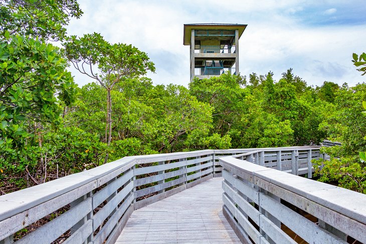 Observation tower at West Lake Park